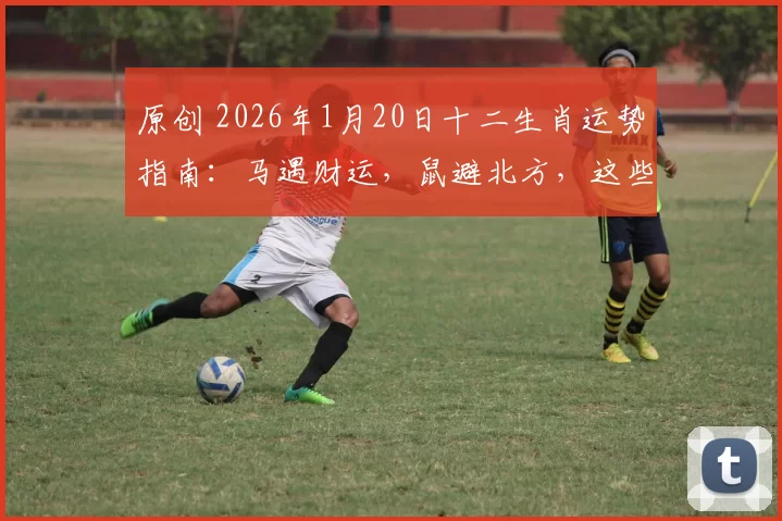 原创 2026年1月20日十二生肖运势指南：马遇财运，鼠避北方，这些要点记牢！