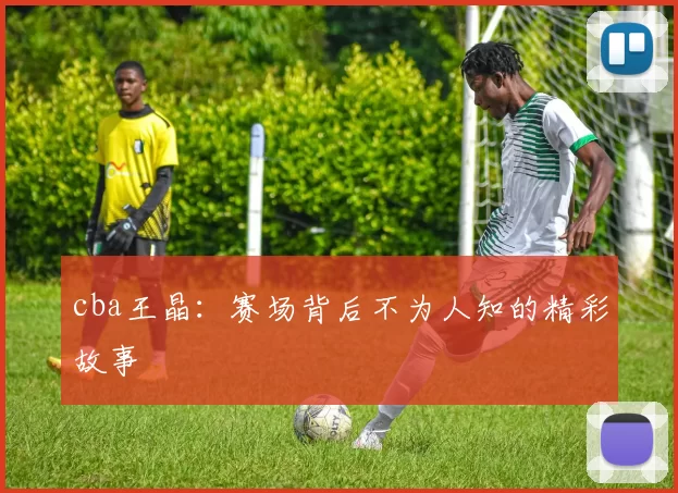 cba王晶：赛场背后不为人知的精彩故事