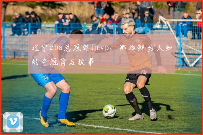 辽宁cba总冠军fmvp，那些鲜为人知的夺冠背后故事