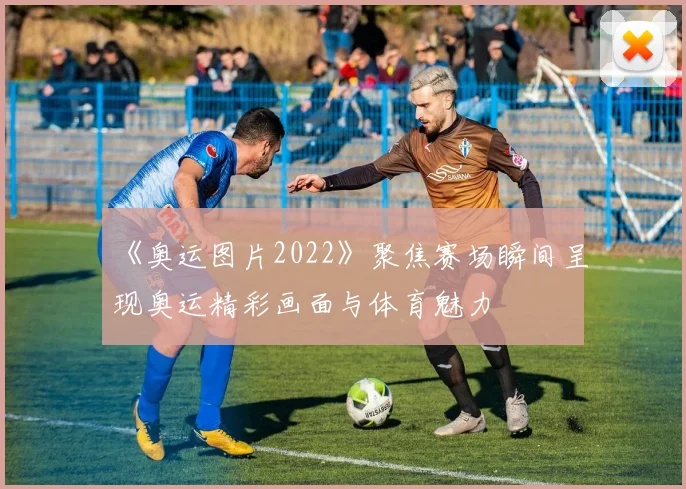《奥运图片2022》聚焦赛场瞬间呈现奥运精彩画面与体育魅力
